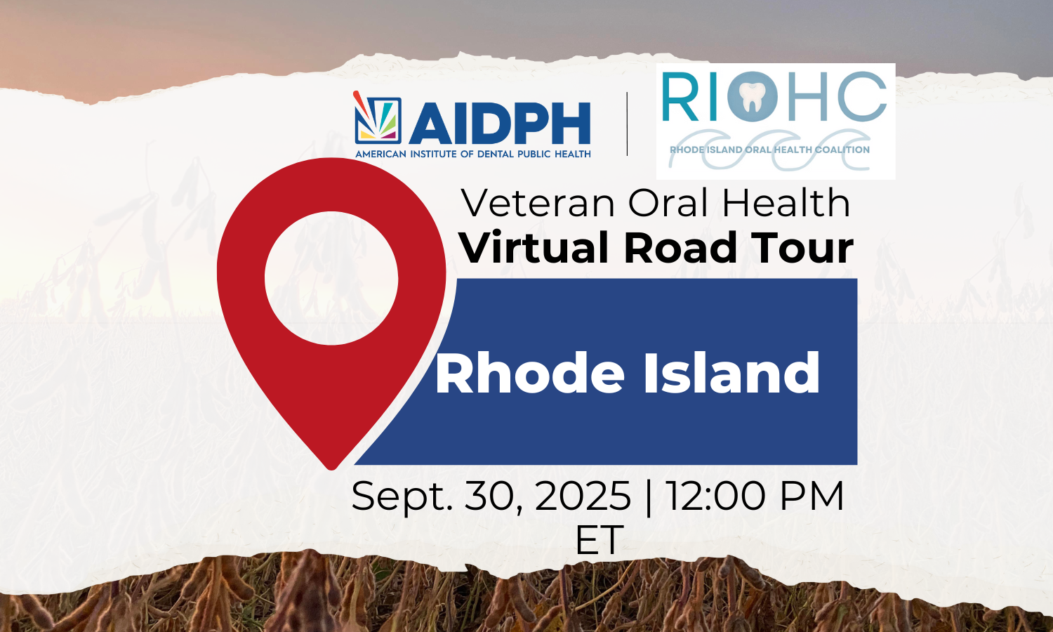 Virtual Road Tour (4)